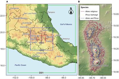 Role of dispersal in the altitudinal migration of Pinus hartwegii and Abies religiosa in mountain systems